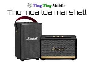 thu mua loa marshall